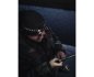 Preview: Armytek Wizard C1 Pro - Lichtfarbe: warmweiss - Occasionmodell