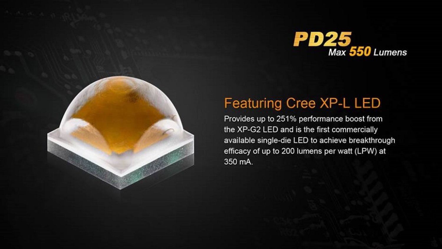 Fenix PD25